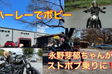 【Harley Davidson】永野芽郁ちゃんがまさかのストボブ乗りに‼️