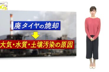 知りたい！SDGs #84 |2021年5月6日放送