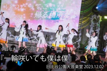 2023.12.02 真っ白なキャンバス 6周年ライブ『一輪咲いても僕は僕』