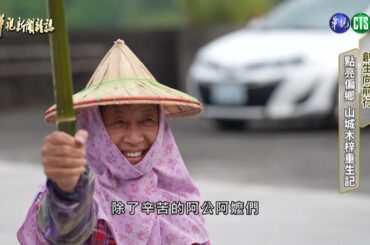 【創生向前行】火光照亮回家路｜華視台語新聞雜誌 2023.12.05