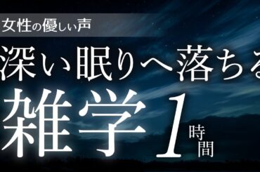 【睡眠導入】深い眠りへ落ちる雑学1時間【女性朗読】