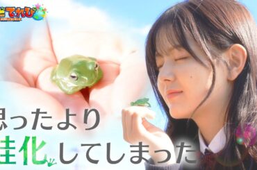 【そだてれび】思ったより蛙化してしまった／第1制作部 河島圭汰