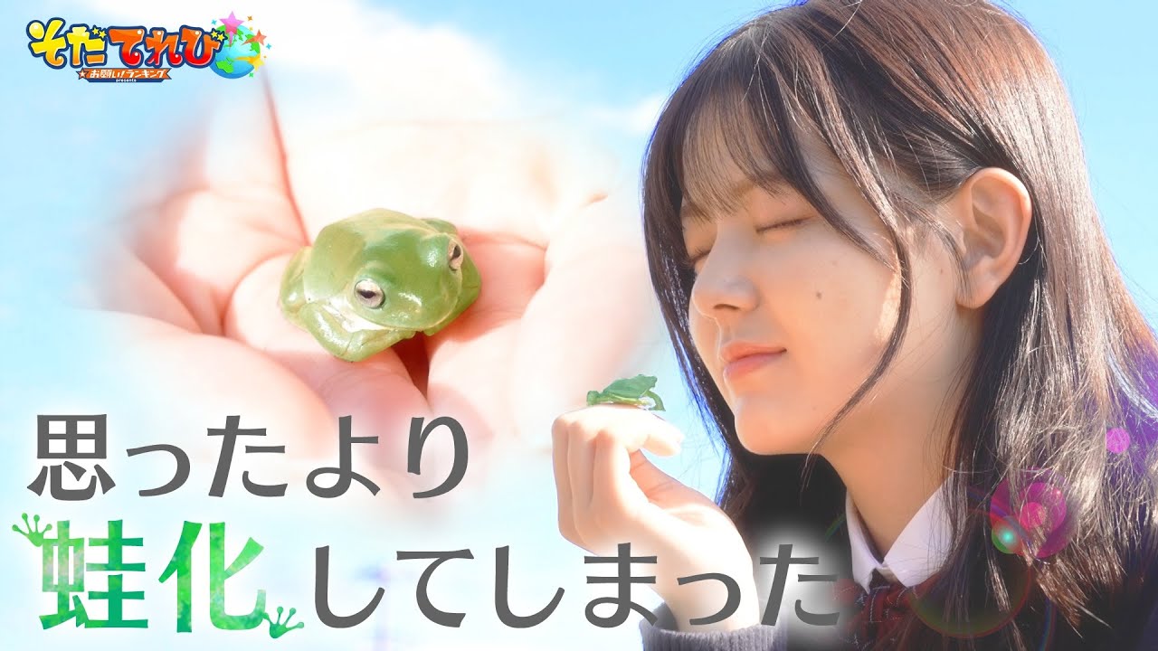 【そだてれび】思ったより蛙化してしまった/第1制作部 河島圭汰 【そだてれび】思ったより蛙化してしまった/第1制作部 河島圭汰