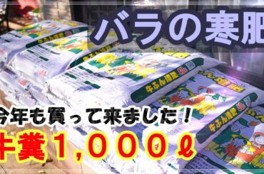 【一番大切な肥料】バラの寒肥 (._.)