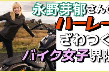 《永野芽郁さんがハーレーでモトブログに参戦か？ピリつくバイク女子界隈》ラジオ配信vo58