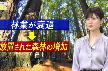 知りたい！SDGs #89 |2021年6月10日放送