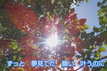 よっしー579ウェディングドレス