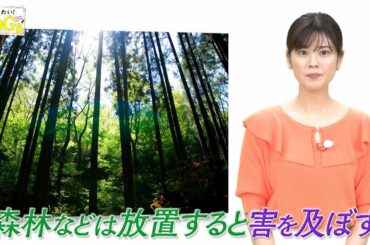 知りたい！SDGs #97 |2021年8月5日放送