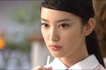 武井咲 : 第一生命 (201308-2)