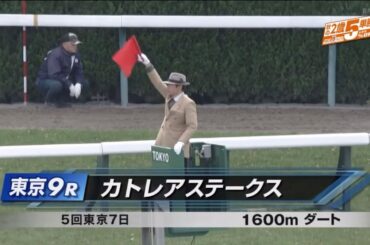 カトレアステークス［2023.11.25 東京第9R/1600m ダート］