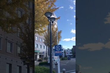 #前橋駅 ６　#東横イン🎄🎅#堀優衣📚#橋本環奈🎤#加藤礼愛🎤#いちみる🍓#鷹宮玲亜🚔#安土姫華🍓#ジャンキス💋#山田莉愛🐼#鈴木陽依梨🐣#宝珠柚花💎#miyabi 🐼#熊之細陽葵🐻#あかぎ団🌸