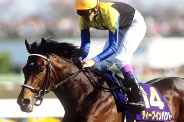 第65回　皐月賞 （ＧⅠ）　ディープインパクト　牡３　57　武豊　2005.4.17　　出走馬：シックスセンス、アドマイヤジャパン、マイネルレコルト、アドマイヤフジ、ペールギュント、ヴァーミリアン他