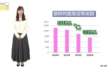 知りたい！SDGs #219 | 2023/12/7放送