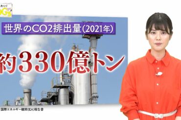 知りたい！SDGs #91 |2021年6月24日放送