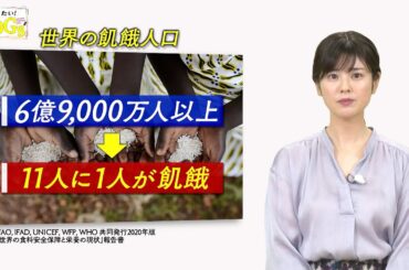 知りたい！SDGs #87 |2021年5月27日放送