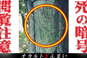 【閲覧注意】解読すると命を落とす「謎の暗号」が怖すぎる…【ゆっくり解説】