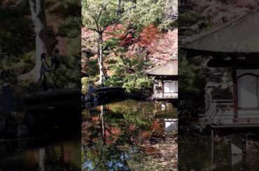 和歌山の美しくみ