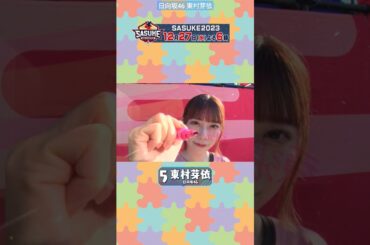 日向坂46 東村芽依 ねこは SASUKE 魂ボードに何を書いたでしょう SASUKE 2023 12月27日(水)よる6時から放送 #めいめい に日は照らすのか！？必見です