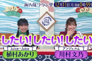 「西乃風ブラン堂」12/11 (月)深夜０時５９分～★京都・京丹後市　観光の目玉は元気になれるツアー⁉世界一○○な町★MC植村あかり×川村文乃