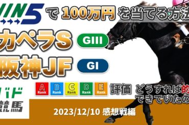 【WIN5で100万円：感想戦編】 2023年12月10日（日）カペラS・阪神JF