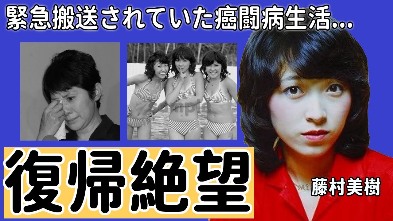 藤村美樹の復帰絶望と言われる現在の姿...