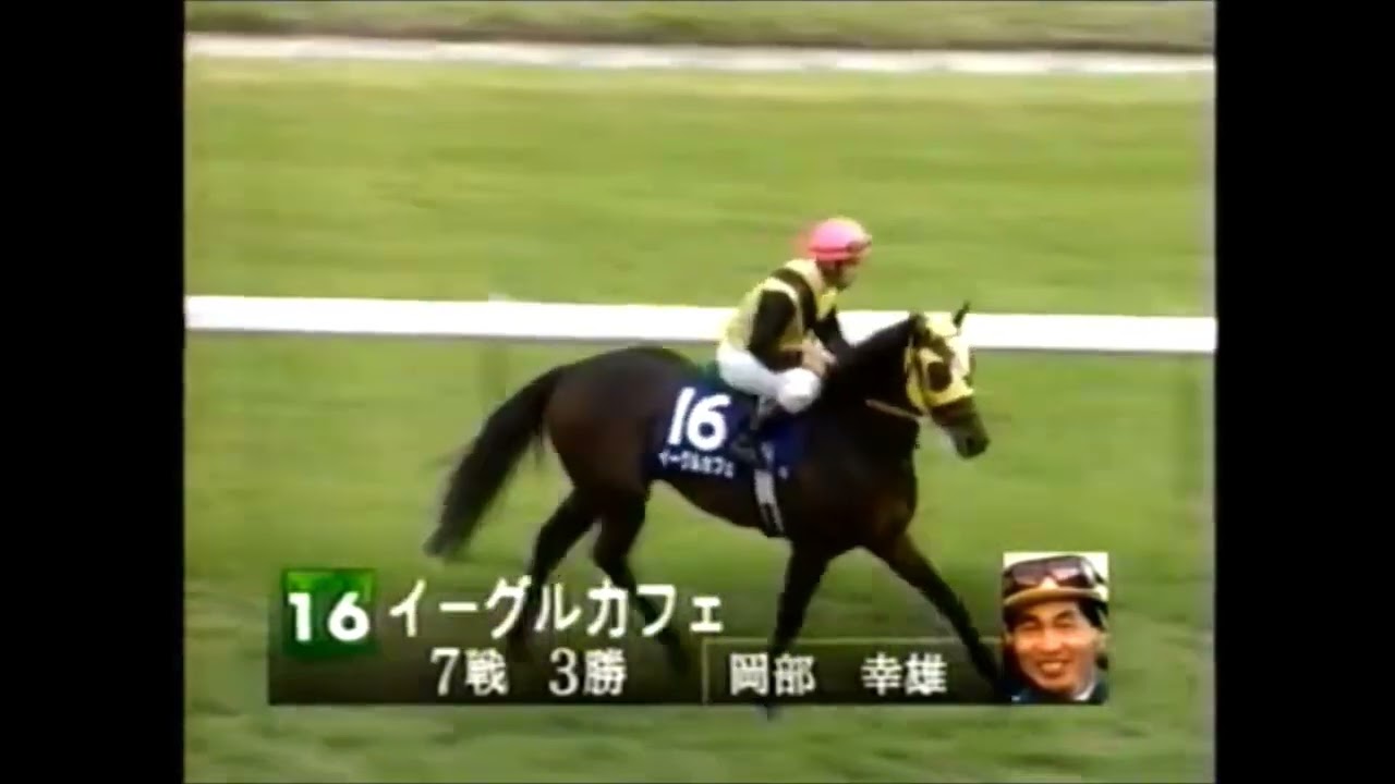 第50回 安田記念 (GⅠ)本馬場入場 2000.6.4 出走馬:フェアリーキングプローン、ディクタット、キングヘイロー、スティンガー、トロットスター、エイシンルバーン、フサイチエアデール他 第50回 安田記念 (GⅠ)本馬場入場 2000.6.4 出走馬:フェアリーキングプローン、ディクタット、キングヘイロー、スティンガー、トロットスター、エイシンルバーン、フサイチエアデール他
