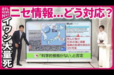 【イワシ大量死】“処理水が関係”？  ニセ情報も  イギリス大衆紙まで…どう対応？