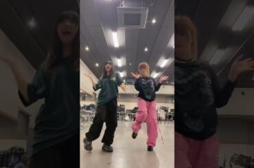 田中れいな・佐藤優樹  『Wop × Untouchable - ARNEL REMIX』