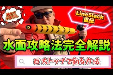 【コノシロは追うな】驚愕！ラインスラック小倉さんに聞く「今年の巨大トップウォーター」の釣り方【オグペン神】