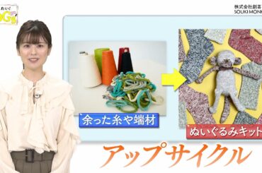 知りたい！SDGs #137 |2022年5月12日放送