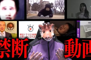 ネット上にある禁断の動画を全て見せます(総集編)