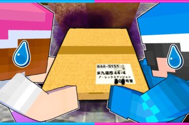 あやしい荷物を配達するマインクラフト😨📦【 マイクラ / Minecraft  】