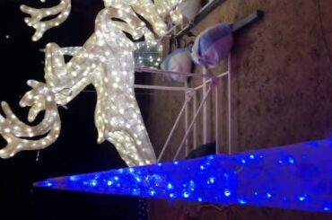 #道の駅八ッ場🎄🎅⑱#鷹宮玲亜🚓➡#いちみる🍓#JumpingKiss🌮➡#鈴木陽依梨🐣#山田莉愛💻#秋月柑七🍊 #丸上ひまり🎄#紅白歌合戦🎤➡#橋本環奈　#加藤礼愛💎#MIYABI 🐼#響野レイナ👑