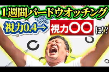 【衝撃の結果】1週間バードウオッチングやり続けたら、視力回復するってホント！？【後編】