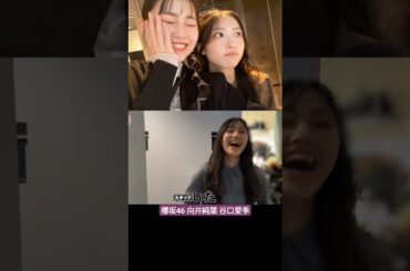 櫻坂46 向井純葉 谷口愛季 マネージャーと遊ぶいとぴ