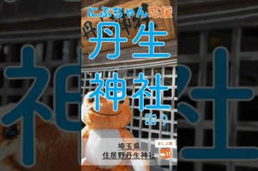 山奥の集落の一画で地域を見護る丹生神社（全国『丹生神社の旅』ep.11 埼玉県 住居野丹生神社／日向坂46 丹生明里さん応援企画）