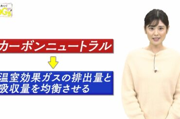 知りたい！SDGs #114 |2021年12月2日放送