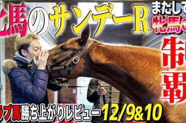 【一口馬主勝ち上がりレビュー12/9＆10】阪神JFでダイワメジャー×サドラー持ちの黄金ニックス久々に炸裂！【節約大全】vol.1188