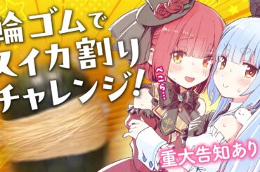 【輪ゴムでスイカ割りチャレンジ】スイカ割って告知をするぞ！【ホロライブ/宝鐘マリン・兎田ぺこら】#ホロハニ