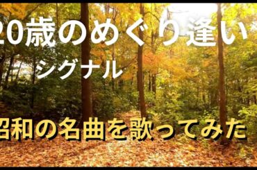 20歳のめぐり逢い (1975年) 歌詞付 / シグナル【65歳が歌ってみた】covered by 4 Gs [J's Acoustic Club]