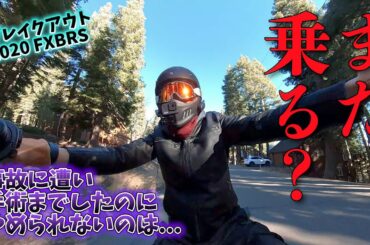 【永野芽郁さんのハーレーストーリーに触発されて…】事故の後遺症と骨折修復の鉄板入れたままバイクにまたがるリターンライダーのわてくし　オリジナルカスタムのハーレーダビッドソン「ストリートボブ 114」