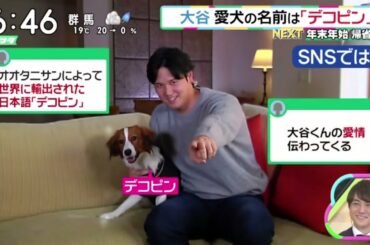 12月15日プロ野球ニュース【ＭＬＢ】 軍大谷翔平感謝と決意の入団会見