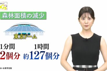 知りたい！SDGs #100 |2021年8月26日放送