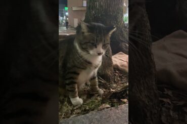 #館林駅🎡猫③🎄📚#橋本環奈➡#紅白歌合戦🎤#加藤礼愛🎤#いちみる🍓#鷹宮玲亜🚔#安土姫華🍓#ジャンキス💋#山田莉愛🐼#鈴木陽依梨🐣#秋月柑七🍊#宝寿柚花💎#miyabi 🐼#熊之細陽葵🐻#あかぎ団🌸