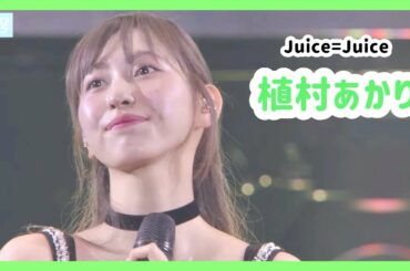 【Juice=Juice】植村あかり ソロパート集【ハロプロ】
