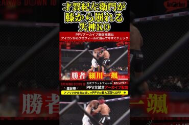 才賀紀左衛門が膝から崩れる失神KO！強すぎる細川一颯【ブレイキングダウン10/ブレイキングダウン/BreakingDown/オーディション】#shorts