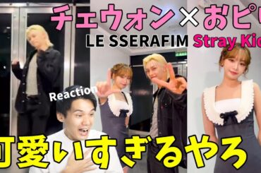 チェウォン×ピリ TikTokコラボ！可愛すぎるし面白すぎるんだけど！？【LE SSERAFIM Stray Kids】