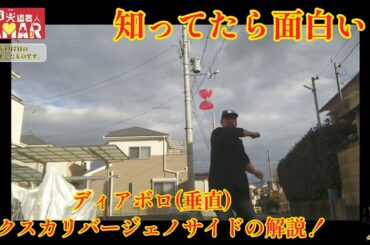 知ってたら面白い！ ディアボロ(垂直) エクスカリバージェノサイドの動きを解説！ (誰が興味あんねん！)