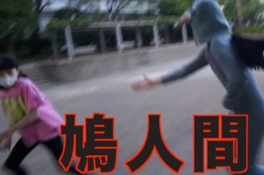 鳩になって自然界の厳しさ食べ物の有り難さを知る