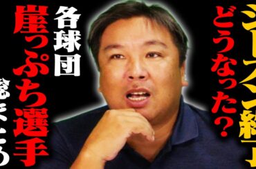 【作業用・睡眠用・聞き流し】崖っぷち選手は今シーズン活躍できたのか？総集編